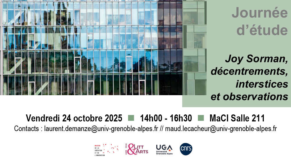 Joy Sorman, décentrements, interstices et observations