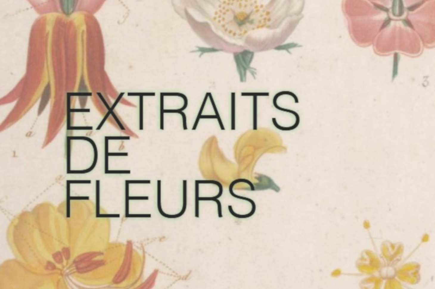 affiche journée étude extraits de fleurs 15 janvier 2026