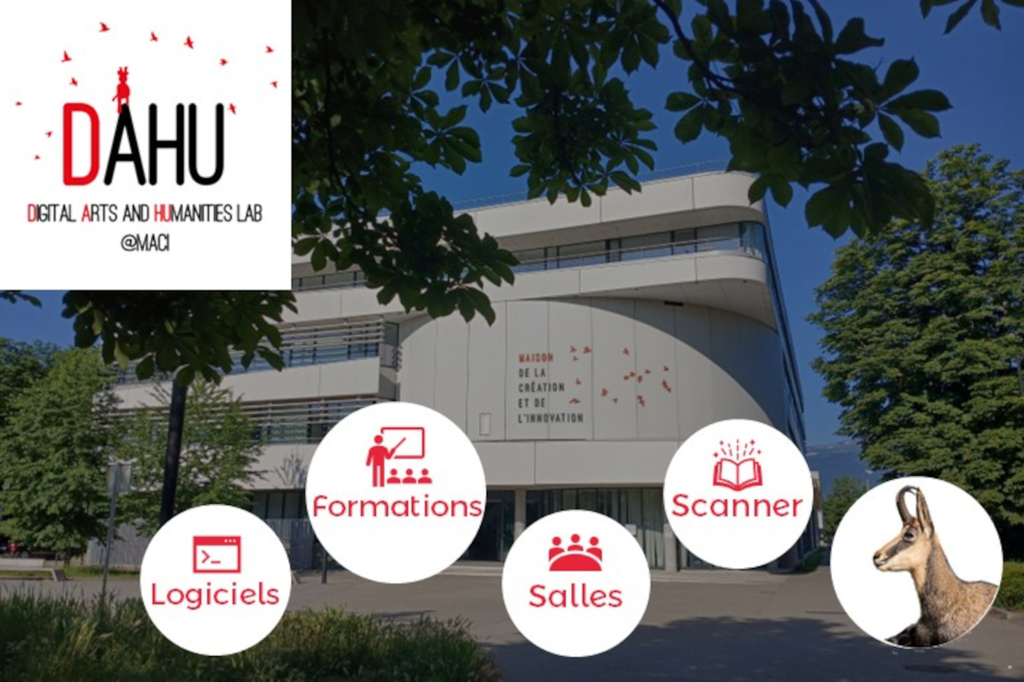 visuel pour l'article