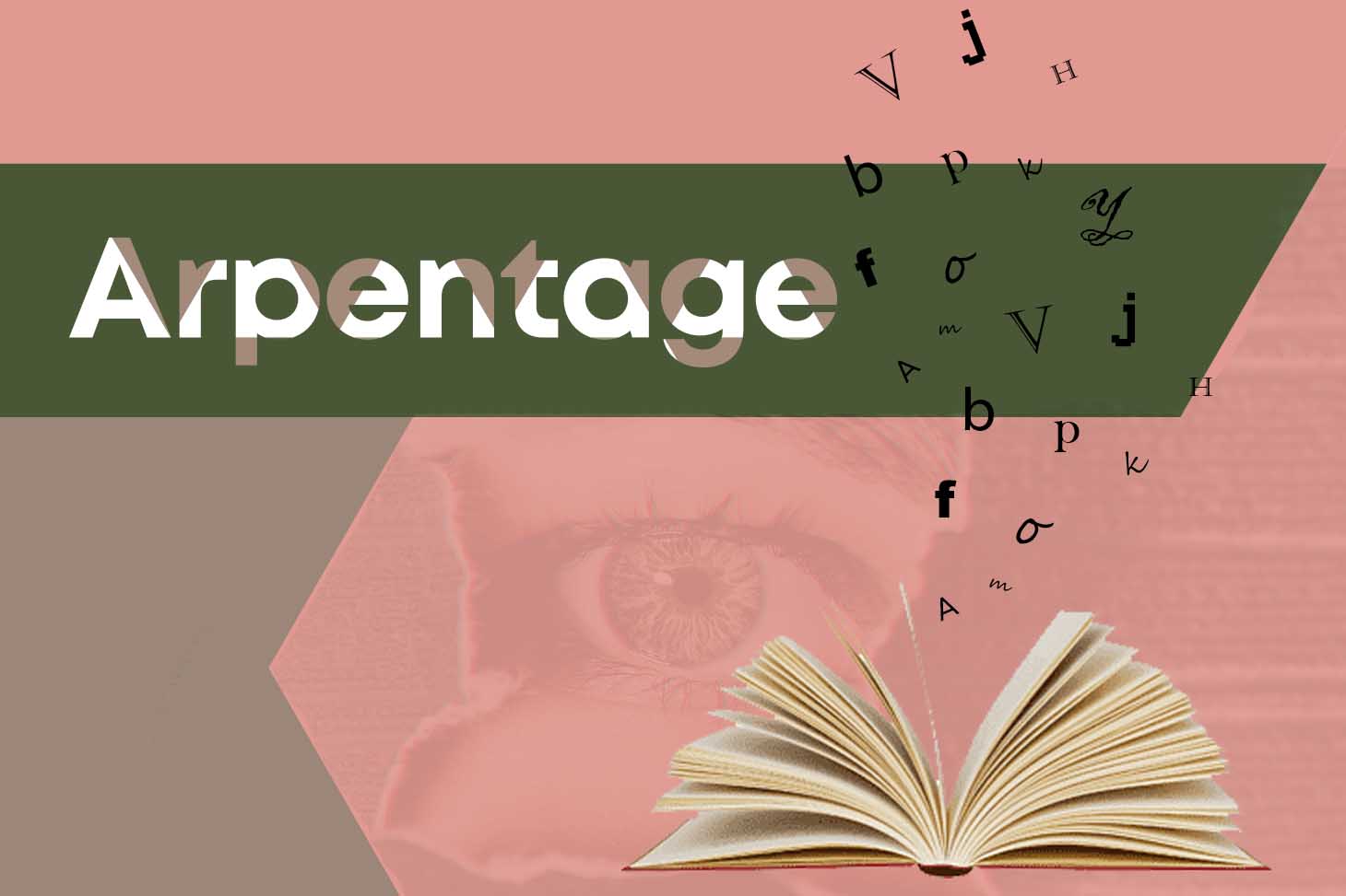 visuel arpentage 